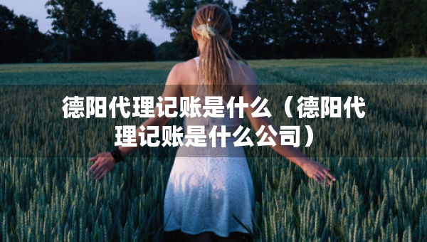 德陽代理記賬是什么（德陽代理記賬是什么公司）