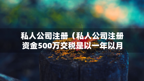 私人公司注冊(cè)（私人公司注冊(cè)資金500萬(wàn)交稅是以一年以月交）