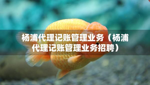 楊浦代理記賬管理業(yè)務（楊浦代理記賬管理業(yè)務招聘）