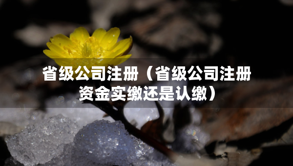 省級(jí)公司注冊(cè)（省級(jí)公司注冊(cè)資金實(shí)繳還是認(rèn)繳）