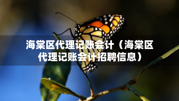 海棠區(qū)代理記賬會計（海棠區(qū)代理記賬會計招聘信息）