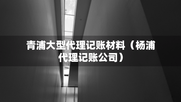 青浦大型代理記賬材料（楊浦代理記賬公司）