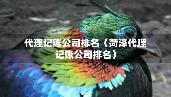 代理記賬公司排名（菏澤代理記賬公司排名）