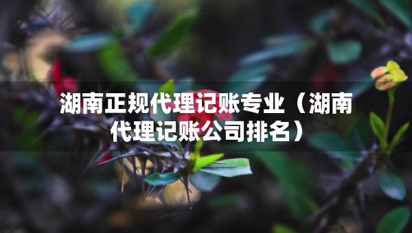 湖南正規(guī)代理記賬專業(yè)（湖南代理記賬公司排名）