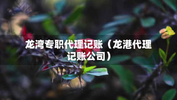 龍灣專職代理記賬（龍港代理記賬公司）