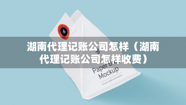 湖南代理記賬公司怎樣（湖南代理記賬公司怎樣收費）