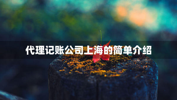 代理記賬公司上海的簡單介紹