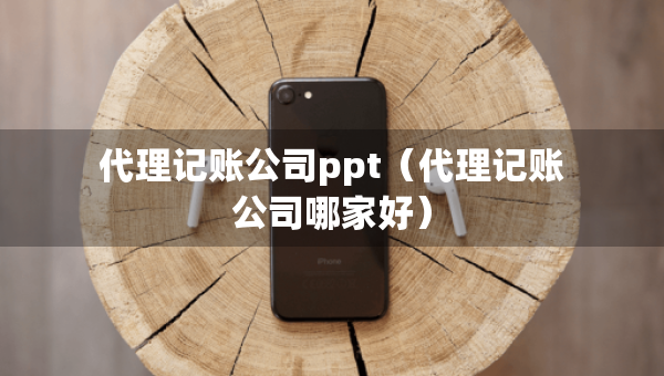 代理記賬公司ppt（代理記賬公司哪家好）