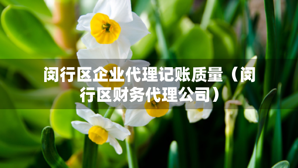 閔行區(qū)企業(yè)代理記賬質(zhì)量（閔行區(qū)財(cái)務(wù)代理公司）