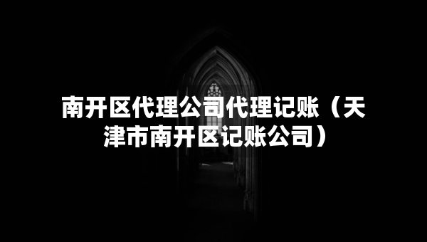 南開區(qū)代理公司代理記賬（天津市南開區(qū)記賬公司）