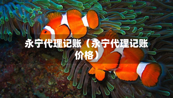 永寧代理記賬（永寧代理記賬價格）