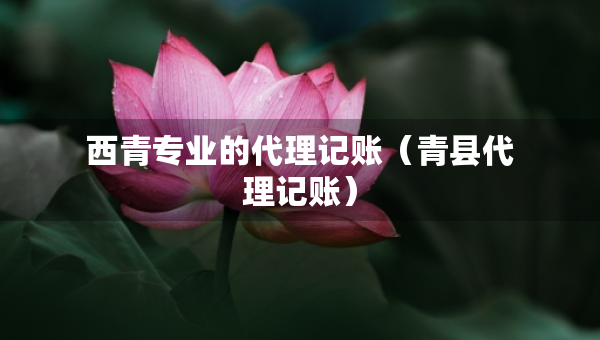 西青專業(yè)的代理記賬（青縣代理記賬）