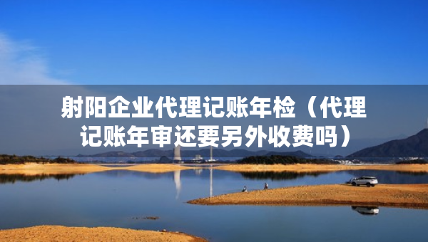 射陽企業(yè)代理記賬年檢（代理記賬年審還要另外收費嗎）