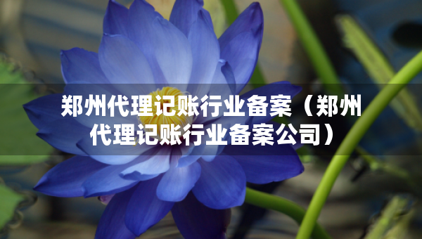 鄭州代理記賬行業(yè)備案（鄭州代理記賬行業(yè)備案公司）