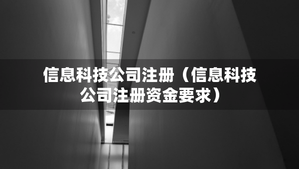 信息科技公司注冊(cè)（信息科技公司注冊(cè)資金要求）