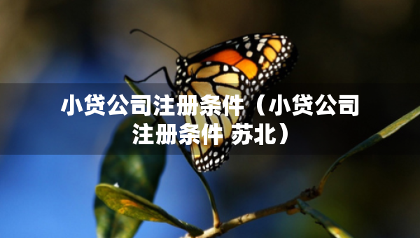 小貸公司注冊(cè)條件（小貸公司注冊(cè)條件 蘇北）