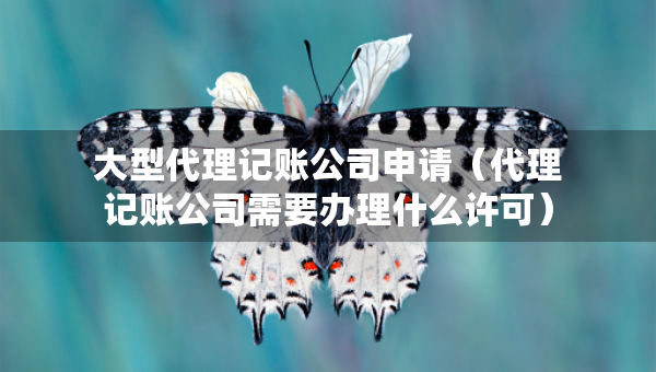 大型代理記賬公司申請(qǐng)（代理記賬公司需要辦理什么許可）