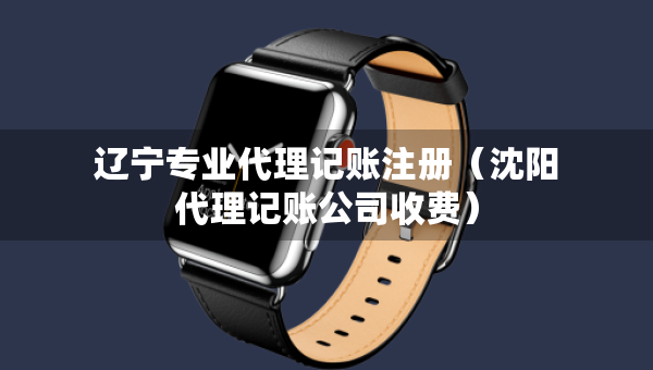 遼寧專業(yè)代理記賬注冊（沈陽代理記賬公司收費(fèi)）