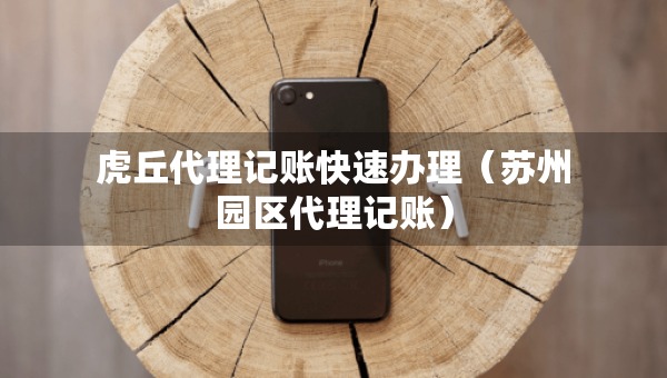 虎丘代理記賬快速辦理（蘇州園區(qū)代理記賬）