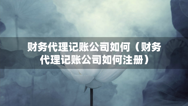 財(cái)務(wù)代理記賬公司如何（財(cái)務(wù)代理記賬公司如何注冊(cè)）