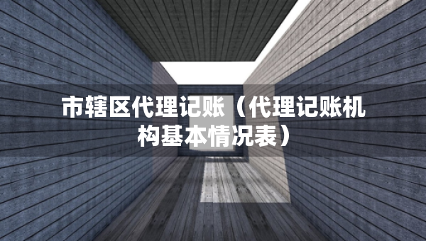 市轄區(qū)代理記賬（代理記賬機(jī)構(gòu)基本情況表）