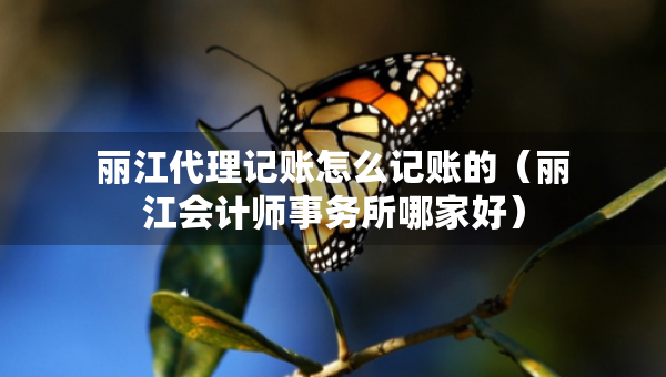 麗江代理記賬怎么記賬的（麗江會(huì)計(jì)師事務(wù)所哪家好）