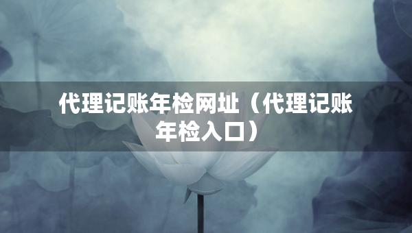 代理記賬年檢網(wǎng)址（代理記賬年檢入口）