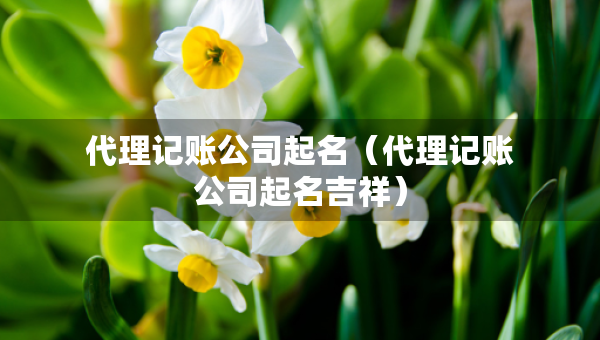 代理記賬公司起名（代理記賬公司起名吉祥）