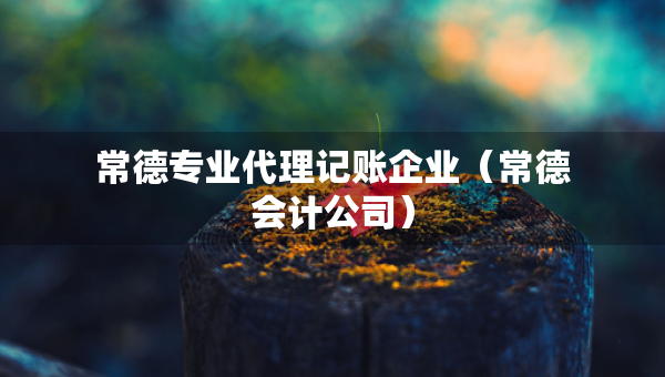 常德專業(yè)代理記賬企業(yè)（常德會計公司）