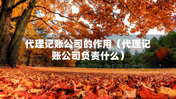 代理記賬公司的作用（代理記賬公司負(fù)責(zé)什么）