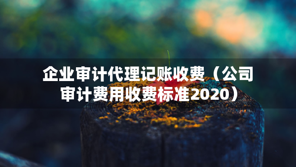 企業(yè)審計代理記賬收費（公司審計費用收費標(biāo)準(zhǔn)2020）