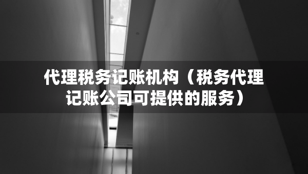 代理稅務(wù)記賬機(jī)構(gòu)（稅務(wù)代理記賬公司可提供的服務(wù)）