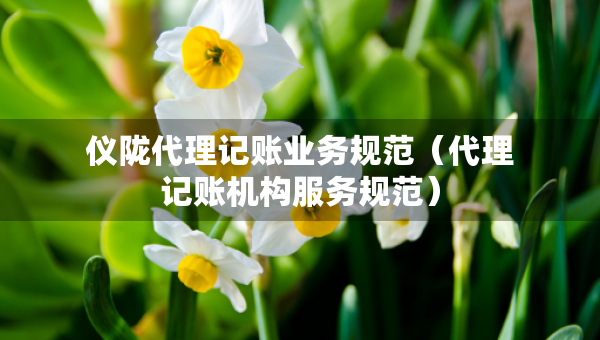 儀隴代理記賬業(yè)務(wù)規(guī)范（代理記賬機構(gòu)服務(wù)規(guī)范）