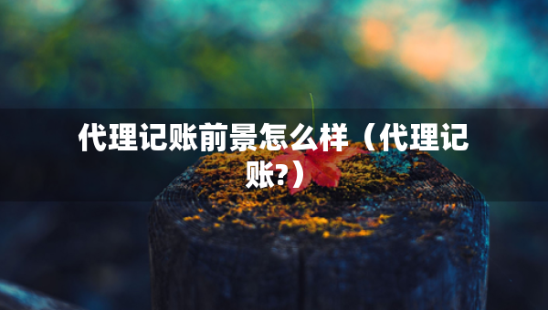 代理記賬前景怎么樣（代理記賬?）