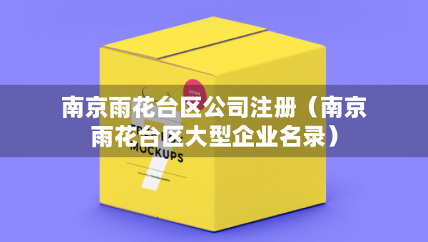 南京雨花臺區(qū)公司注冊（南京雨花臺區(qū)大型企業(yè)名錄）