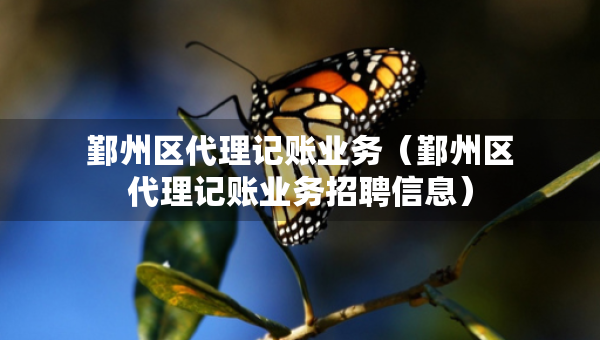 鄞州區(qū)代理記賬業(yè)務（鄞州區(qū)代理記賬業(yè)務招聘信息）