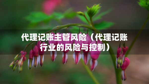 代理記賬主管風(fēng)險(xiǎn)（代理記賬行業(yè)的風(fēng)險(xiǎn)與控制）