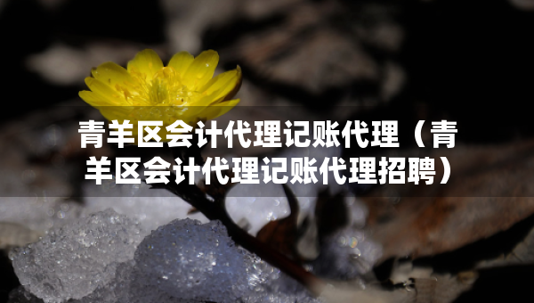 青羊區(qū)會(huì)計(jì)代理記賬代理（青羊區(qū)會(huì)計(jì)代理記賬代理招聘）