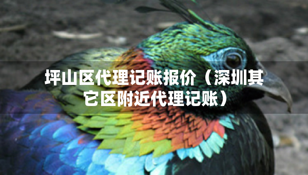 坪山區(qū)代理記賬報價（深圳其它區(qū)附近代理記賬）