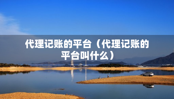 代理記賬的平臺（代理記賬的平臺叫什么）