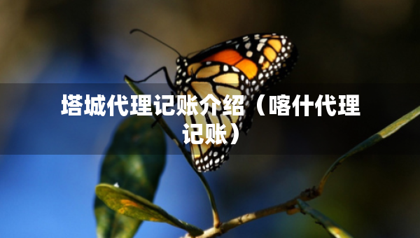 塔城代理記賬介紹（喀什代理記賬）