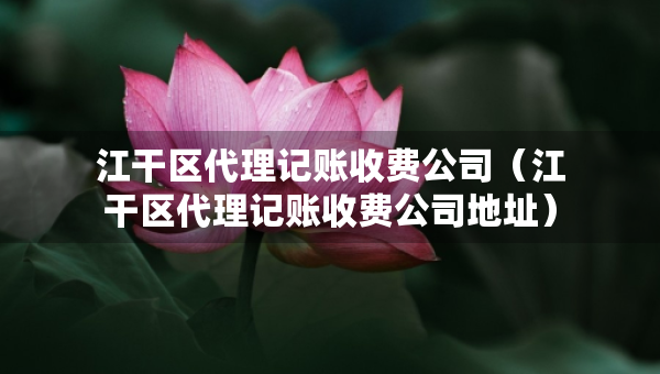 江干區(qū)代理記賬收費公司（江干區(qū)代理記賬收費公司地址）