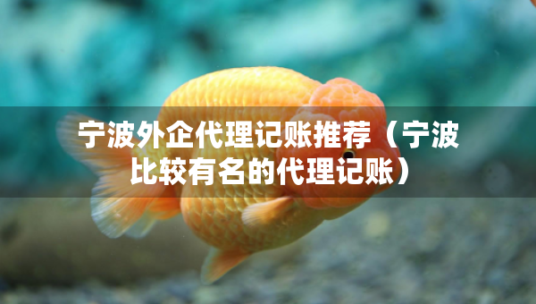 寧波外企代理記賬推薦（寧波比較有名的代理記賬）