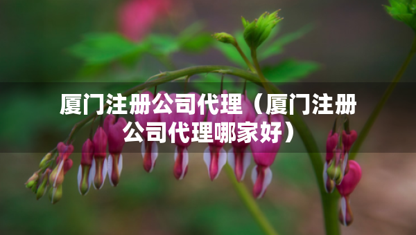 廈門注冊(cè)公司代理（廈門注冊(cè)公司代理哪家好）