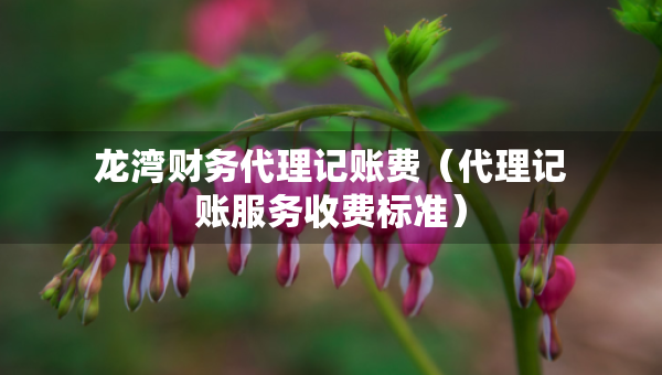 龍灣財(cái)務(wù)代理記賬費(fèi)（代理記賬服務(wù)收費(fèi)標(biāo)準(zhǔn)）