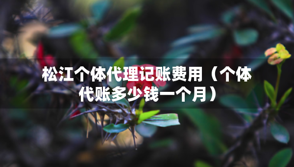 松江個體代理記賬費(fèi)用（個體代賬多少錢一個月）