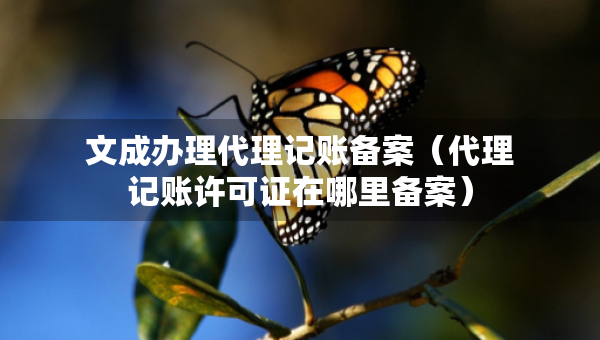 文成辦理代理記賬備案（代理記賬許可證在哪里備案）