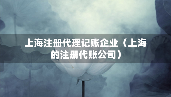 上海注冊(cè)代理記賬企業(yè)（上海的注冊(cè)代賬公司）