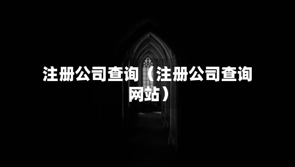 注冊(cè)公司查詢（注冊(cè)公司查詢網(wǎng)站）