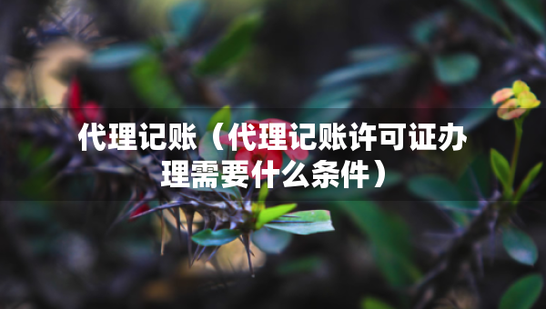 代理記賬（代理記賬許可證辦理需要什么條件）